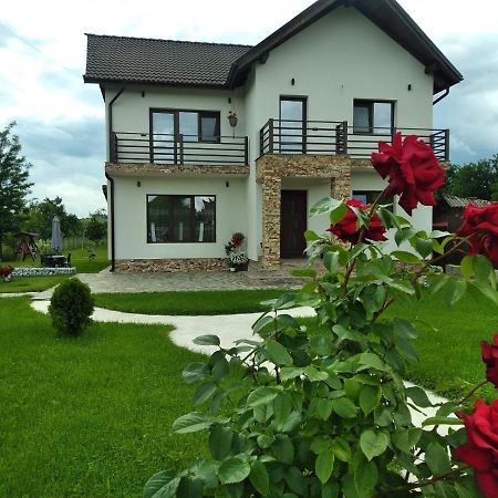 Pensiunea Casa Nusa Baia de Fier Ngoại thất bức ảnh