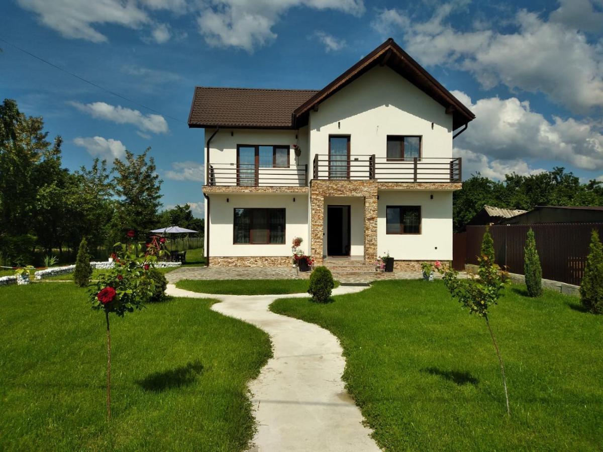 Pensiunea Casa Nusa Baia de Fier Ngoại thất bức ảnh