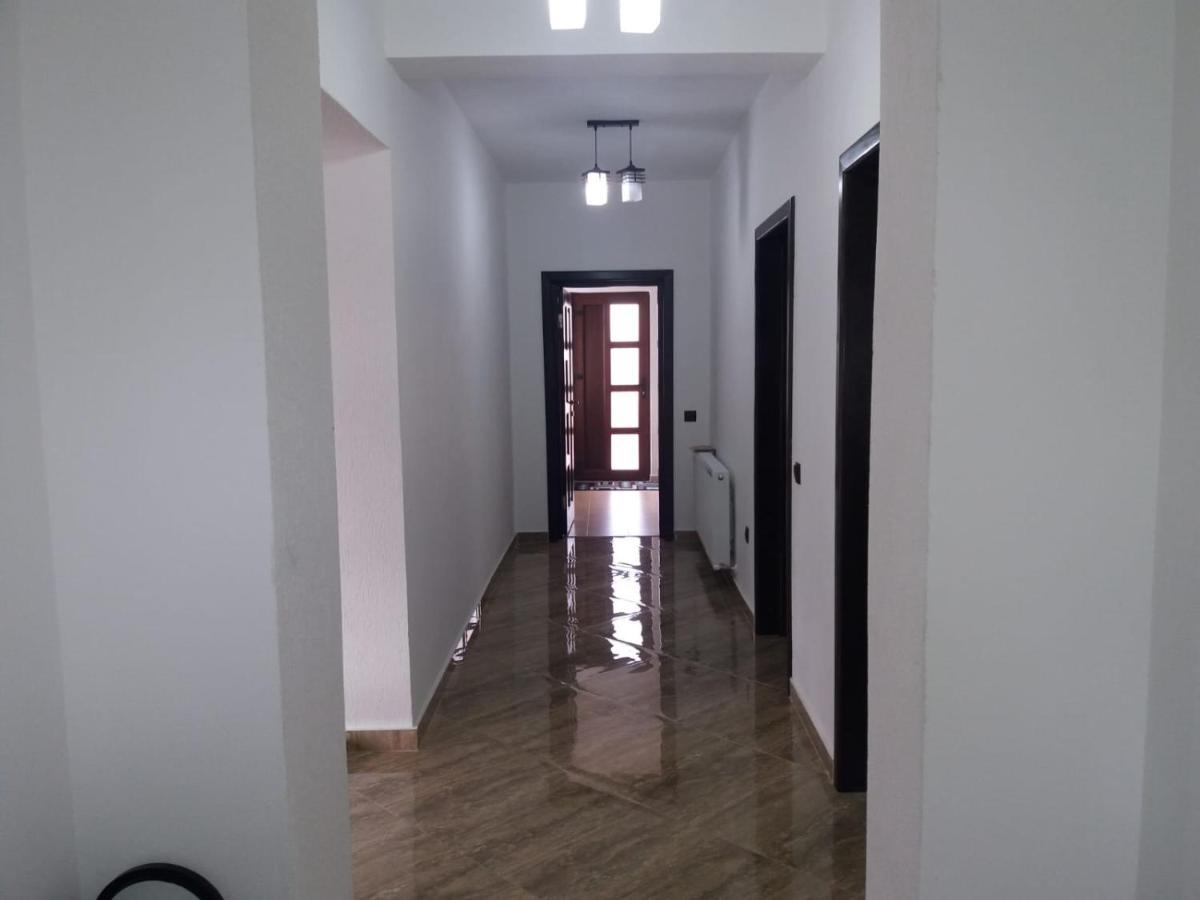Pensiunea Casa Nusa Baia de Fier Ngoại thất bức ảnh