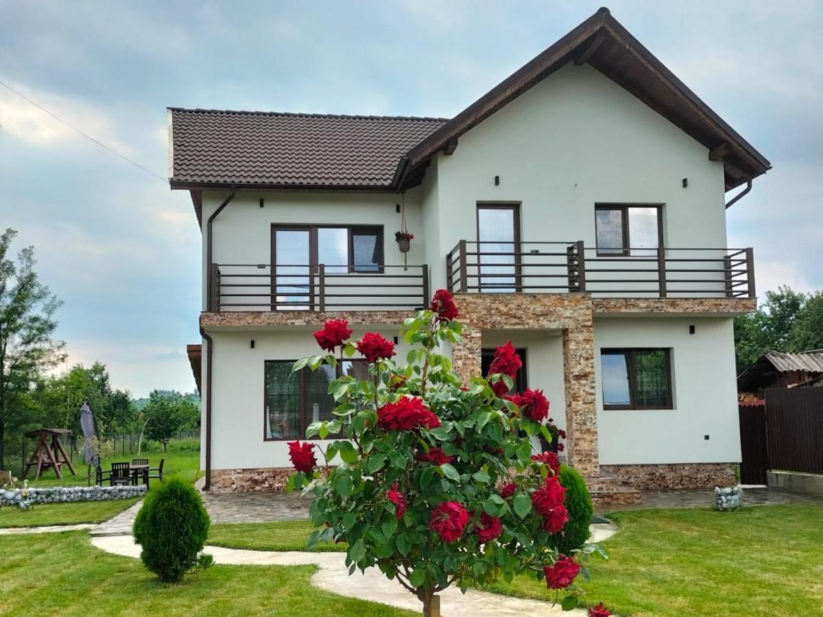 Pensiunea Casa Nusa Baia de Fier Ngoại thất bức ảnh